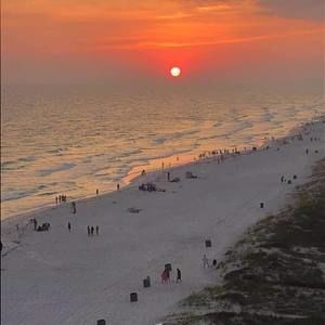 Meet your Posher, Bradley